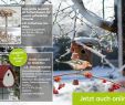 Gartenbedarf Onlineshop Neu Jetzt Neu Im Lineshop Vogelhäuser & Nistkästen