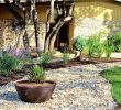Gartenbedarf Onlineshop Schön Gabionen Gartengestaltung Bilder — Temobardz Home Blog
