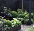 Gartenbeete Planen Einzigartig Kiesgarten Anlegen Ideen — Temobardz Home Blog