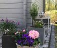Gartenbepflanzung Ideen Best Of Gartenaufbewahrung • Bilder & Ideen • Couch