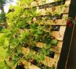 Gartenbepflanzung Ideen Luxus â· über 1001 Ideen Für Den Bau Einer Pflanzenwand In Einer