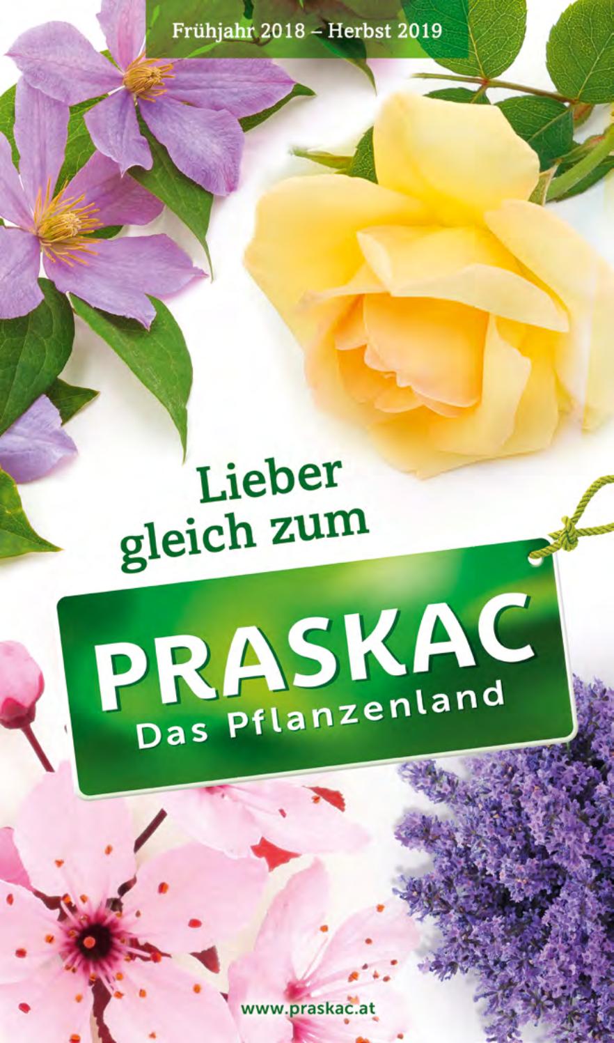 Gartenberatung Neu Katalog 2018 2019 by Praskac Pflanzenland issuu
