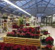 Gartencenter Best Of Silversun Projects Retail