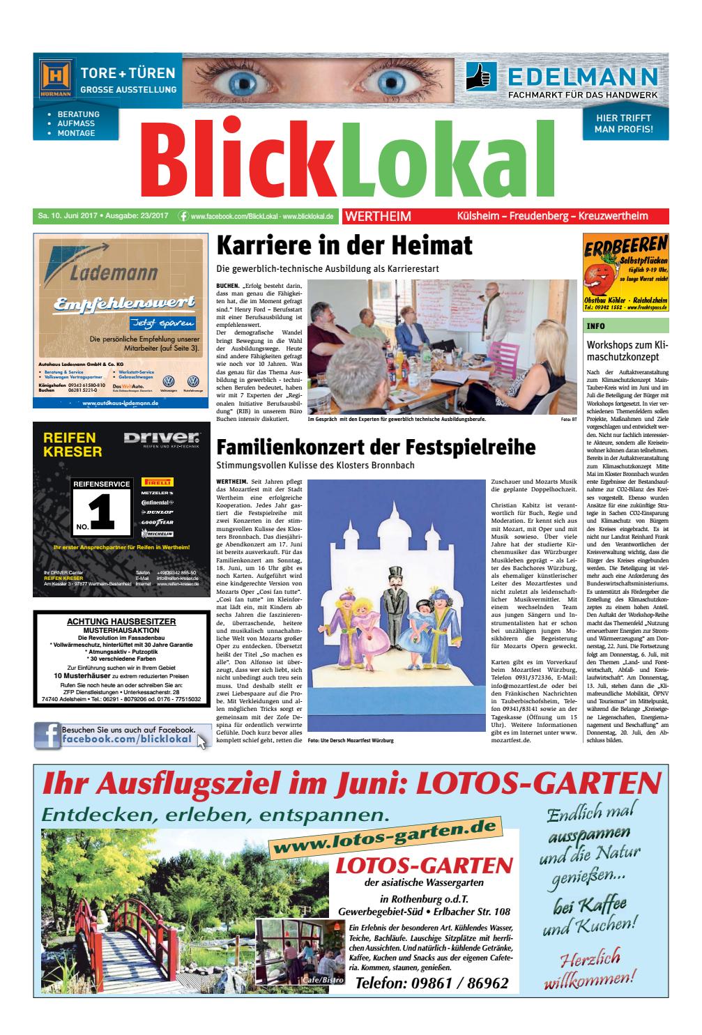 Gartendeko asiatisch Frisch Blicklokal Wertheim Kw23 2017 by Blicklokal Wochenzeitung