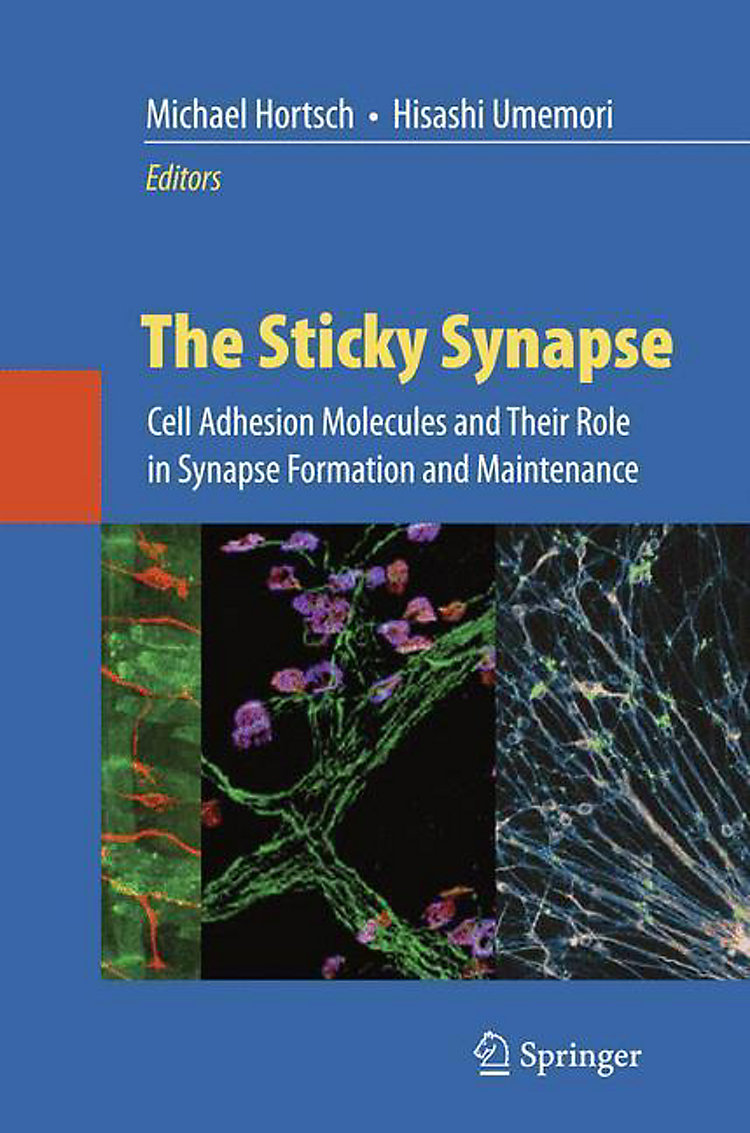 Gartendeko asiatisch Genial the Sticky Synapse Buch Jetzt Versandkostenfrei Bei Weltbild