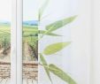 Gartendeko Auf Rechnung Genial Sichtschutz Für Bodentiefe Fenster — Temobardz Home Blog