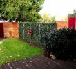 Gartendeko Auf Rechnung Schön Sichtschutz Für Bodentiefe Fenster — Temobardz Home Blog
