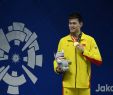Gartendeko Aus HolzstÃ¤mmen Inspirierend China Sweeps asian Games Swimming events