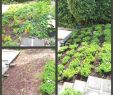 Gartendeko Aus ton Genial Gartendeko Selber Machen — Temobardz Home Blog