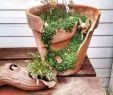 Gartendeko Basteln Naturmaterialien Frisch Die 12 Besten Bilder Zu Gartendeko Selbst Gestalten