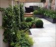 Gartendeko Bilder Elegant Gartengestaltung Ideen Bilder — Temobardz Home Blog