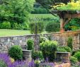 Gartendeko Bilder Inspirierend Folgt Mir Garten Verliebt Für Tägliche Posts Mit tollen