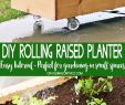 Gartendeko Diy Schön Diy Rolling Planter Box is A Simple & Easy Home Project