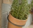 Gartendeko Edelrost Neu Flower Pot Holder Hanging Plants Iron Ring topfring Pot