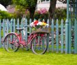 Gartendeko Fahrrad Best Of Gartendekoration Fahrrad · Ratgeber Haus & Garten