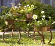 Gartendeko Fahrrad Einzigartig Gartendeko Selber Machen Mit Fahrrad Und Blumen Freshouse