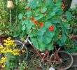 Gartendeko Fahrrad Elegant Ein Garten Wie Aus Der Gartenzeitschrift