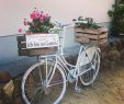 Gartendeko Fahrrad Schön Blümchenradð¥° Gartengestaltung Gartenideen Gartendeko