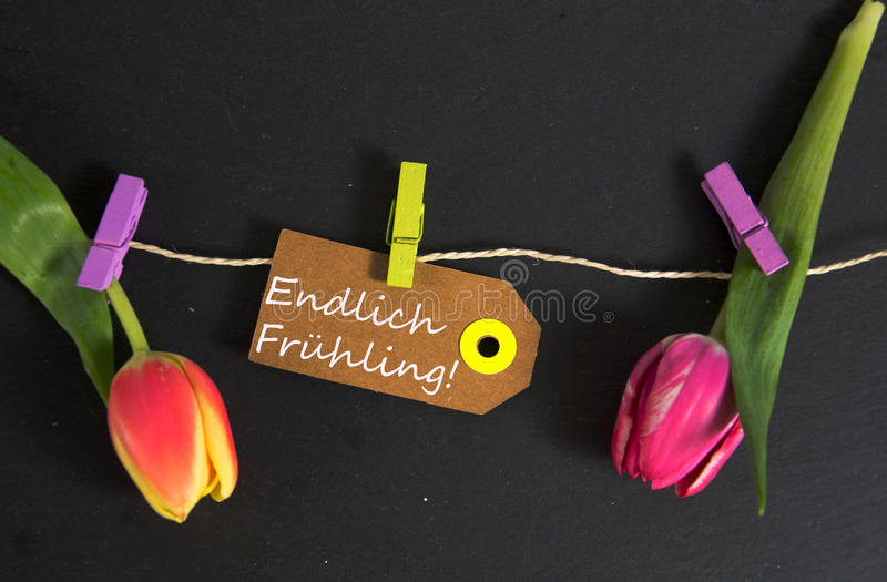 Gartendeko FrÃ¼hling Schön Hling Fr01的04 春天的德国词 库存图片 图片