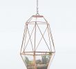 Gartendeko Glas Inspirierend Urban Grow Hanging Copper Cocoon Terrarium