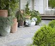 Gartendeko GroÃŸ Luxus Mejores 44 Imágenes De Garden En Pinterest