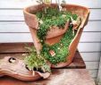 Gartendeko GroÃŸ Schön Die 63 Besten Bilder Zu Pflanzenkübel Für Den Garten