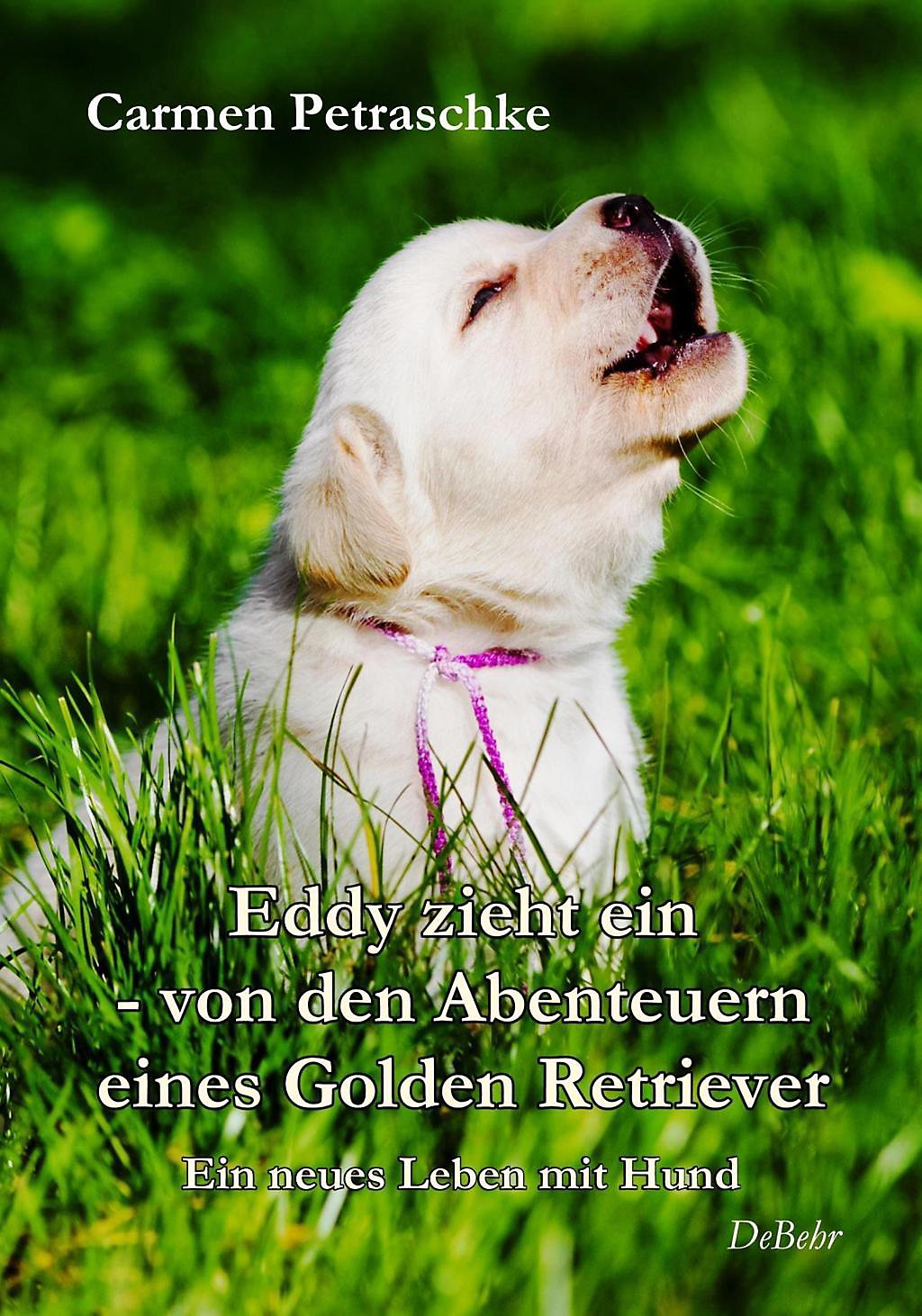 Gartendeko Hund Inspirierend Eddy Zieht Ein Von Den Abenteuern Eines Golden Retriever Buch