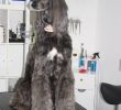 Gartendeko Hund Luxus Hundehalsband Leder 5 Cm Breit Geflochten