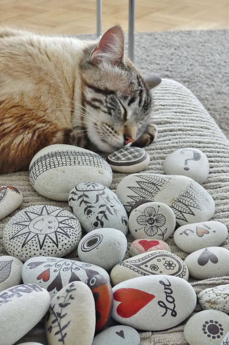 handmade ts ideas pebbles and cat pebbles from portugal hand painted by sabine ostermann