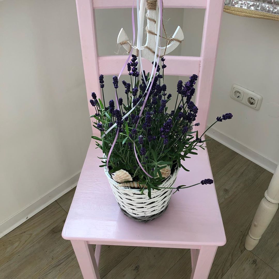 Gartendeko Landhausstil Schön Es Wird Maritim Bei Embeli Blumen Lavendel Maritim