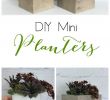 Gartendeko Mit Paletten Neu Diy Mini Planters Indoor House Plants
