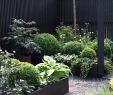 Gartendeko Rost Gartendekorationen Genial Ausgefallene Gartendeko Selber Machen — Temobardz Home Blog