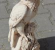 Gartendeko Rost Selber Machen Luxus Gartendeko Vogel Farbe Adler Stein Steinfigur Massive
