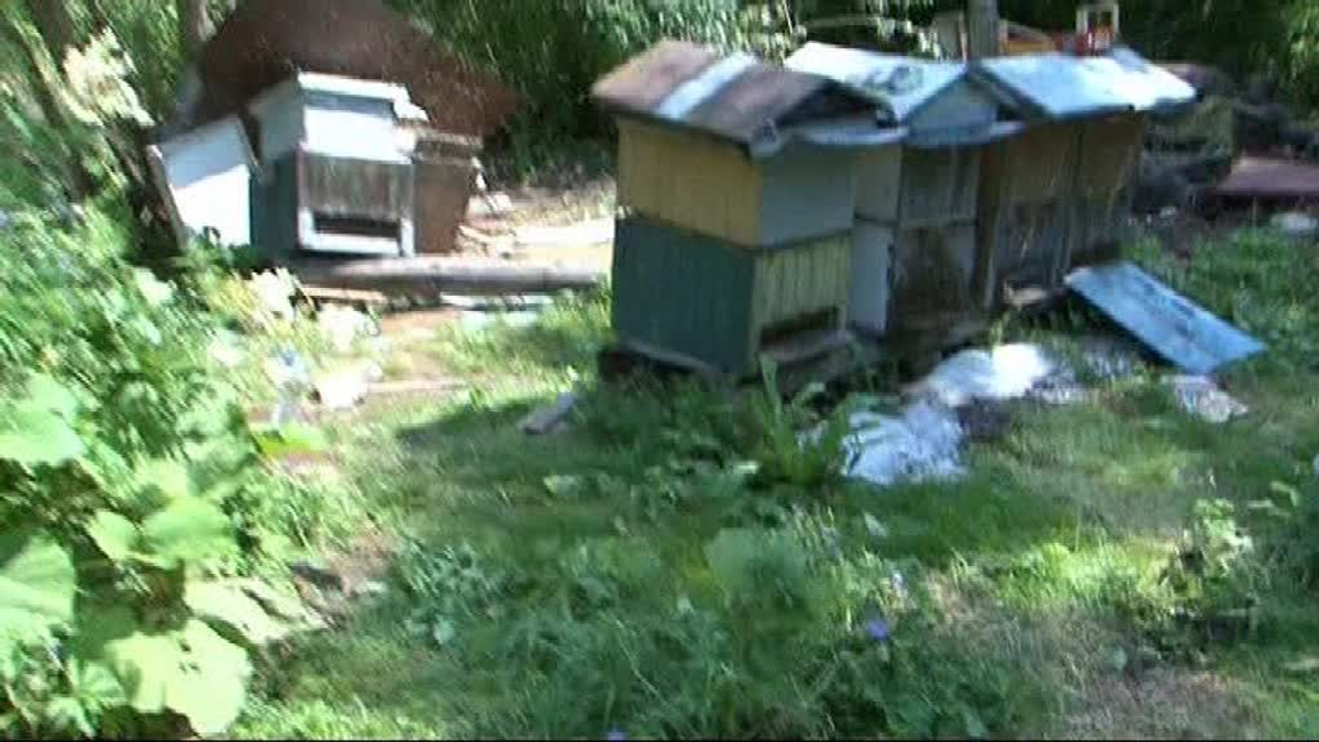 Gartendeko SÃ¤ule Einzigartig Medveď Zničil úle Včelári Sa Náhrady Zrejme Nedočkajú