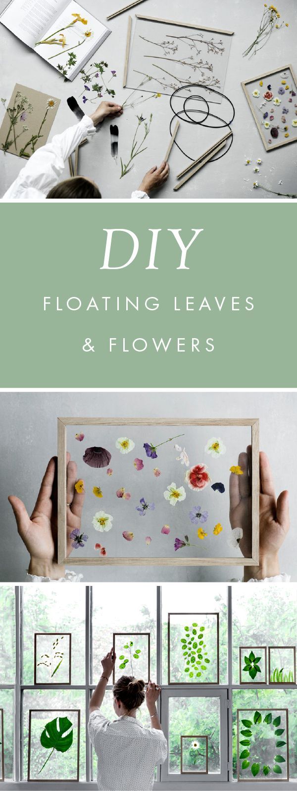 Gartendeko Sale Inspirierend Diy Gift Idea Minimalist Framed Floating Leaves & Flowers