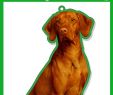 Gartendeko Schild Neu Laminierter Karte Instant Gifts Dog Signs Ungarischer Vizsla