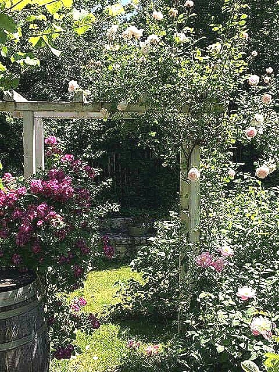 Gartendeko Selber Machen Anleitung Schön 62 Genial Blumen Ideen Garten