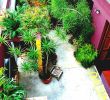 Gartendeko solar Frisch Best Narrow Garden Ideas Pinterest Side Small Gardens and