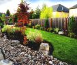 Gartendeko Stein Inspirierend Sehr Preiswerten Landschafts Ideen Einfache Kleine Hinterhof