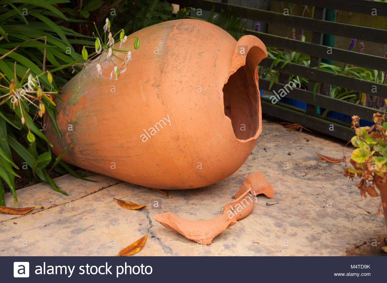broken terracotta pot M4TD9K