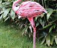 Gartendeko Tiere Inspirierend Tiere Vintage Flamingo 2er Set Gartenfigur Metall Figur Bunt