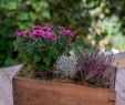 Gartendeko Tisch Einzigartig Selbstgemachte Gartendeko Für Den Herbst Besthomedecors