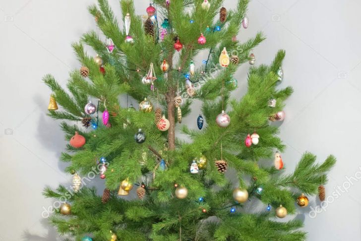 Gartendeko Weihnachten Best Of Choinki Girlandy Dekoracje ÅwiÄteczne — ZdjÄcie Stockowe