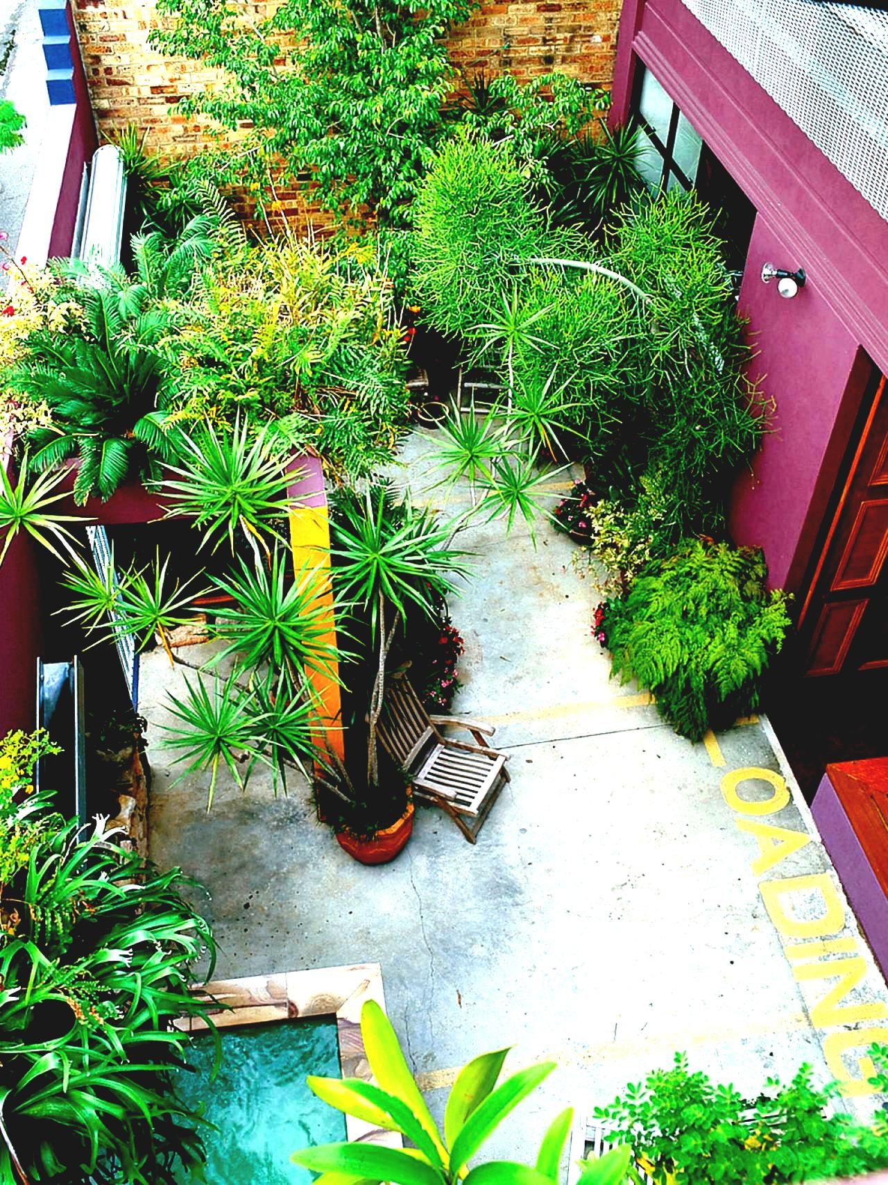 Gartendeko Zum Bepflanzen Best Of Best Narrow Garden Ideas Pinterest Side Small Gardens and
