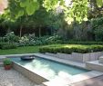 Gartendeko Zum Bepflanzen Elegant 28 Neu Pool Im Garten Integrieren Inspirierend