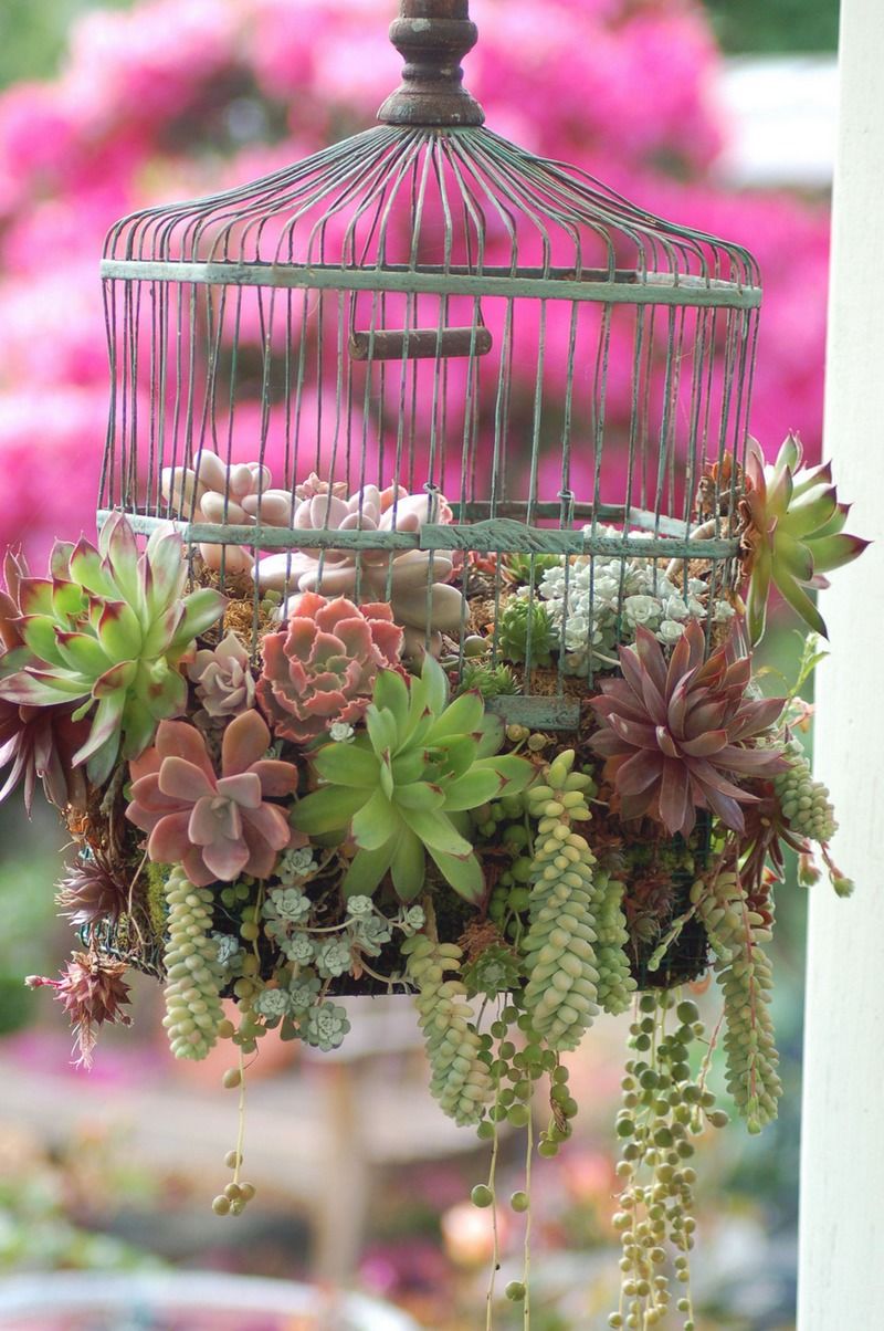 Gartendeko Zum Bepflanzen Elegant Bird Cage Garden
