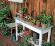 Gartendeko Zum Bepflanzen Luxus 10 Lösungen Für Schwierige Gartenecken Gartendeko