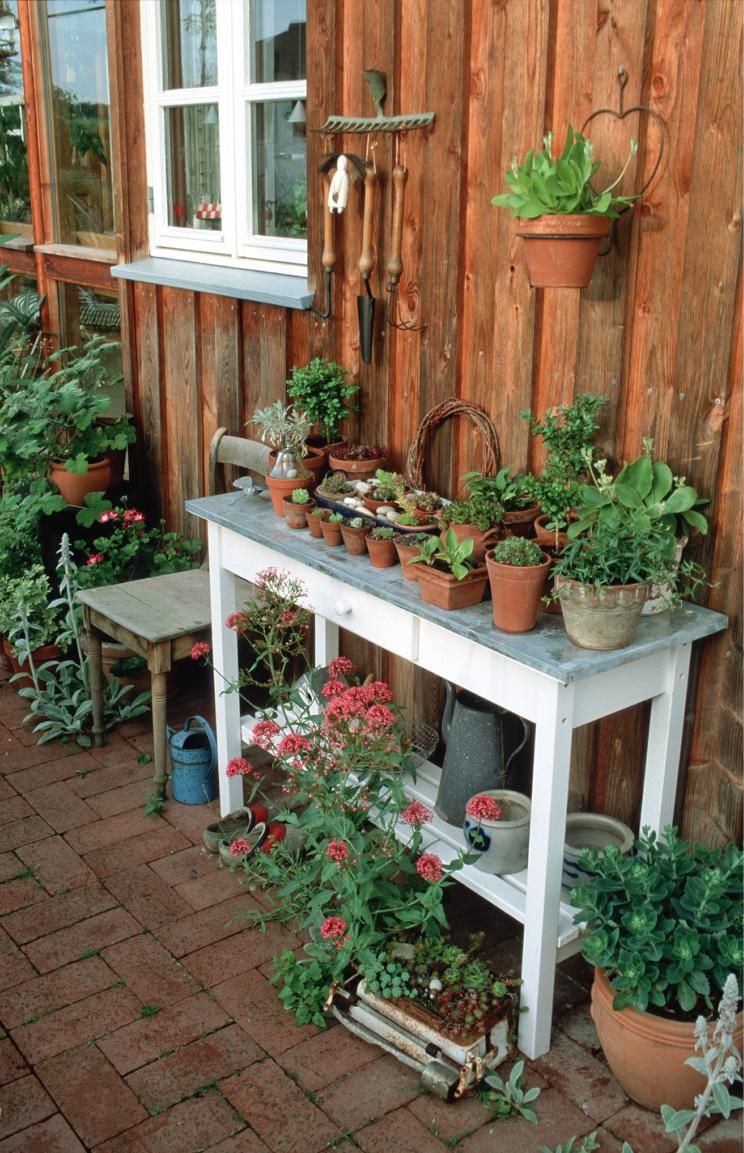 Gartendeko Zum Bepflanzen Luxus 10 Lösungen Für Schwierige Gartenecken Gartendeko