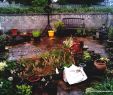 Gartendeko Zum Bepflanzen Luxus Geringer Wartungsaufwand Garten Ideen Auf Einem Bud