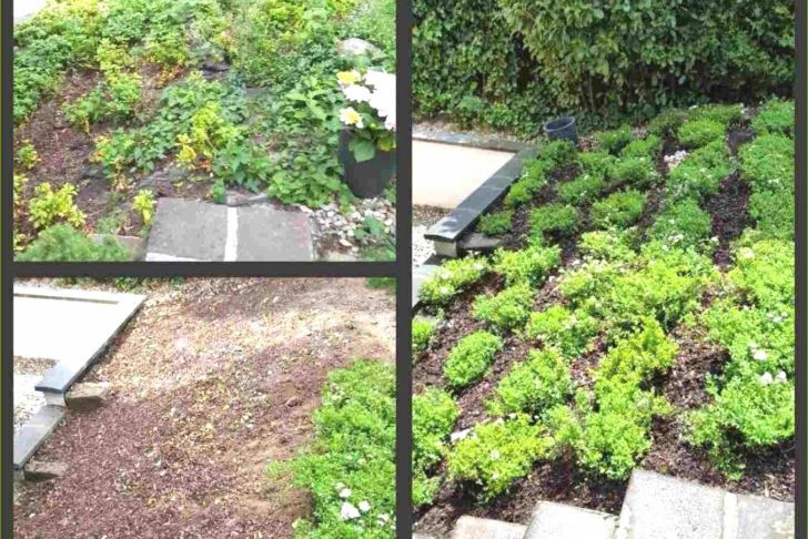 Gartendeko Zum Bepflanzen Schön Ausgefallene Gartendeko Selber Machen — Temobardz Home Blog